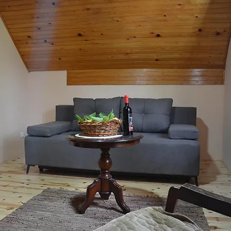 Danilovica Kuca Apartment Bioska