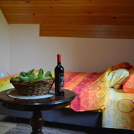 Apartment Danilovica Kuca